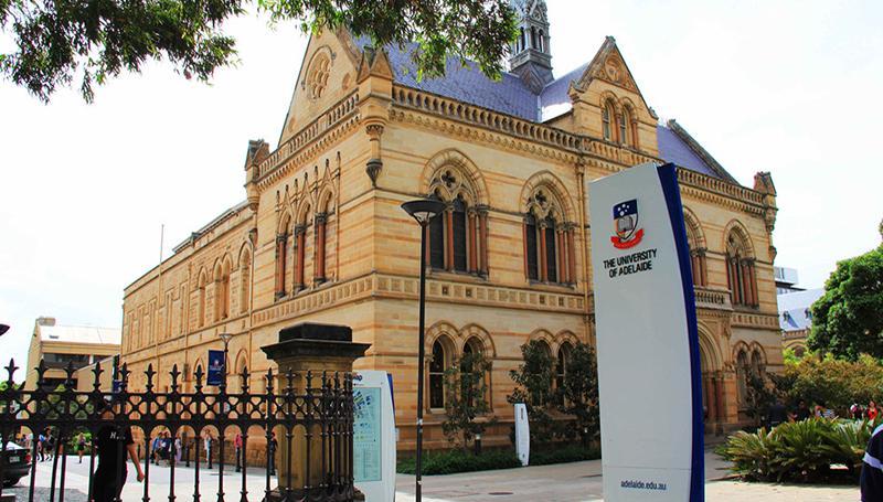 阿德莱德大学.jpg